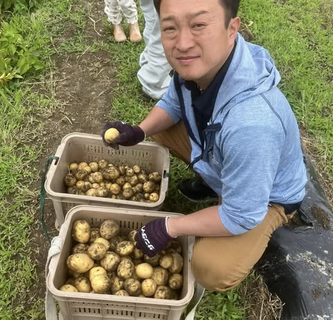 ジャガイモ畑で収穫作業をする保坂ひろと